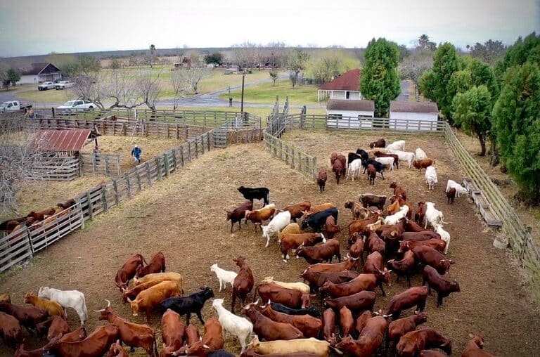 6FCBD655-F6CB-4FC8-A7E7-54376F08481F